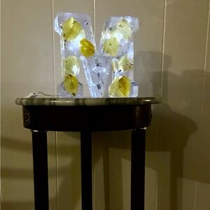 Illuminated Decorative Letter Light